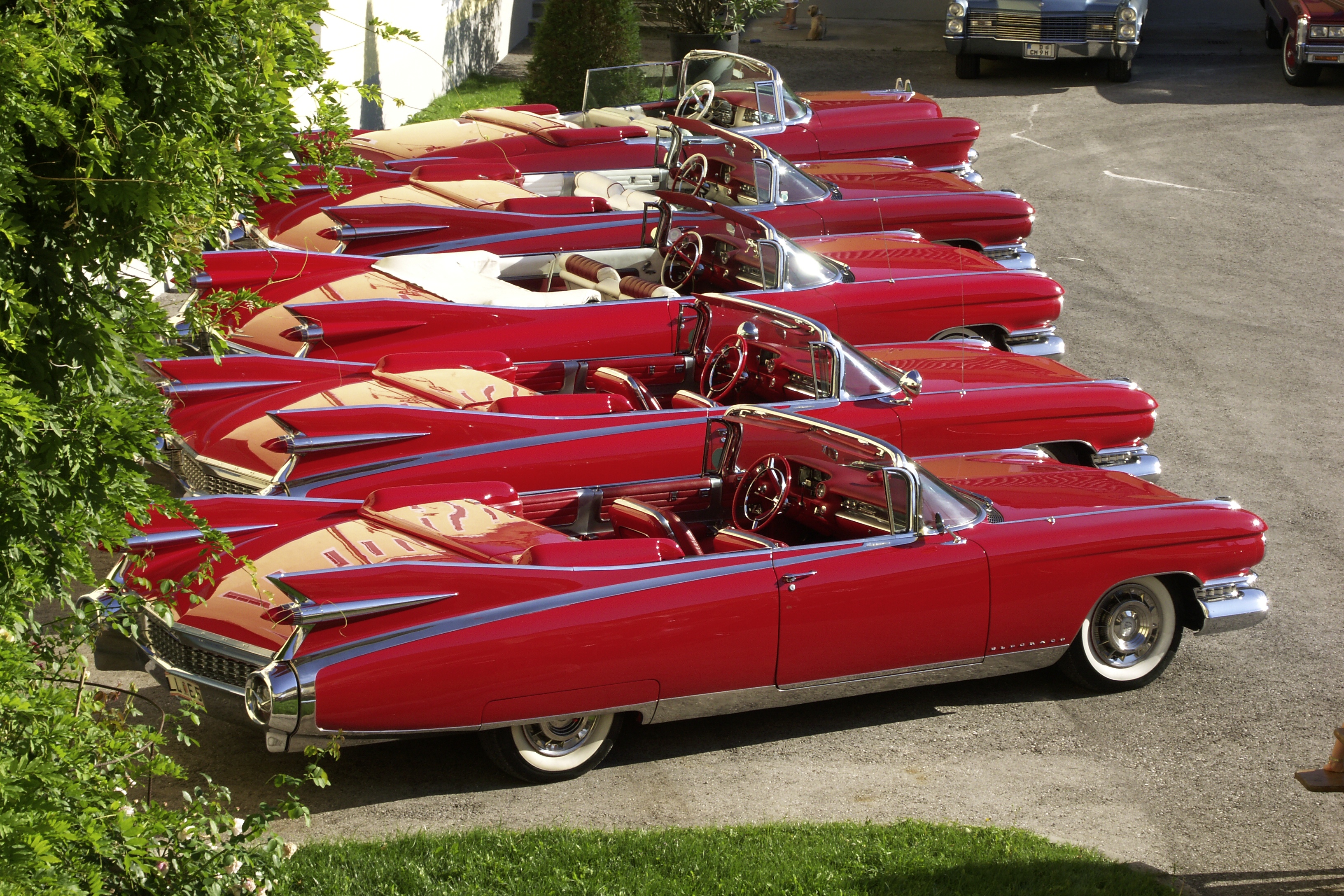 1959 Cadillacs